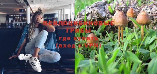 бутират Алексин