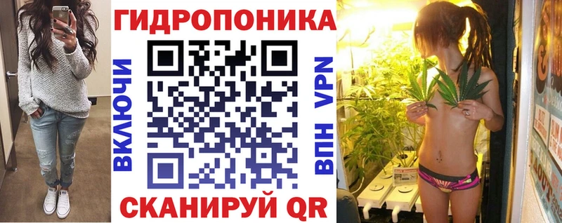 Каннабис семена где купить наркоту МЕГА как зайти Новосиль